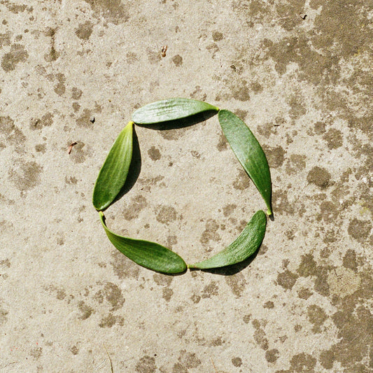 Circularity – The Future of Fashion